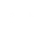 Essence